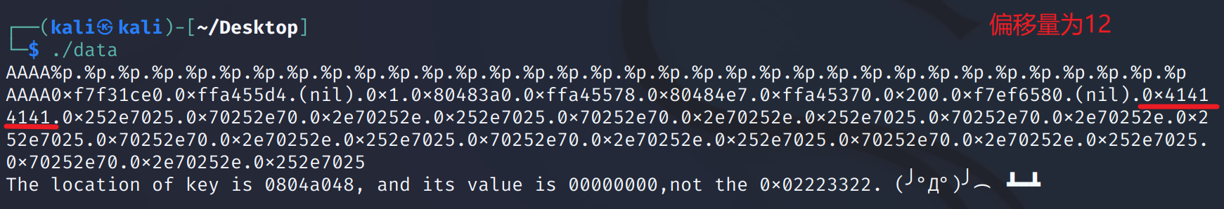 image-20220325161626020